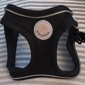 Amazon Black Dog Harness
